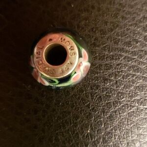 Murano Glass "Moms Are Special" charm Fits Chamilia and Pandora Blue Pink Floral
